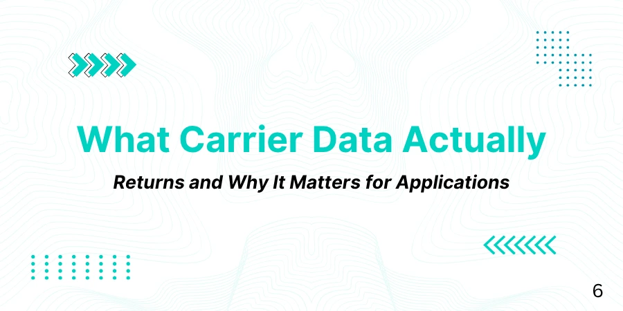 What Carrier Data Actually Returns and Why It Matters for Applications That Process Phone Numbers
