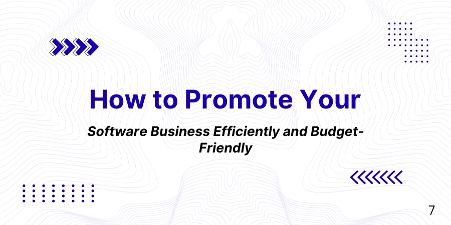 How to Promote Your Software Business Efficiently and Budget-Friendly